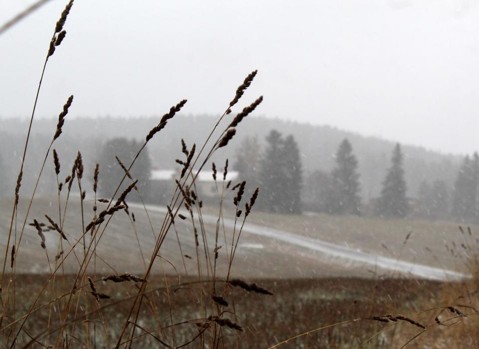 Гололёд, мокрый снег и +6º ожидаются в Волгоградской области 17 ноября